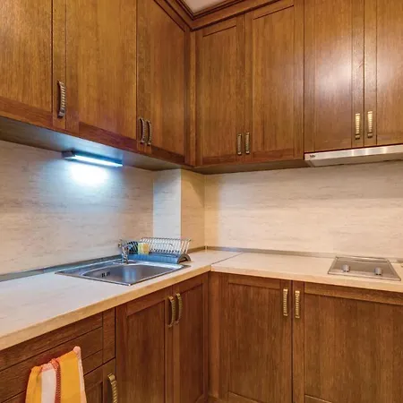 Three-bedroom In * 네세부르